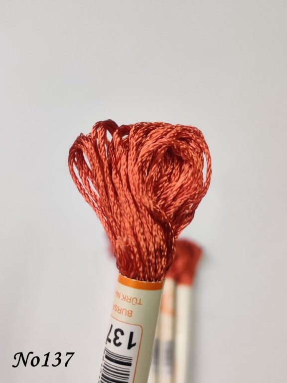 137 (DMC919) (1) (Medium)